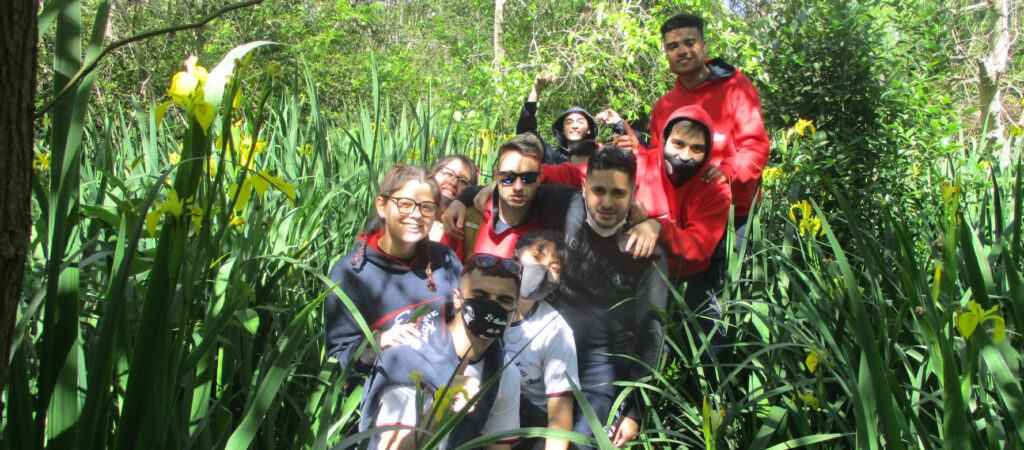Actividad-1
